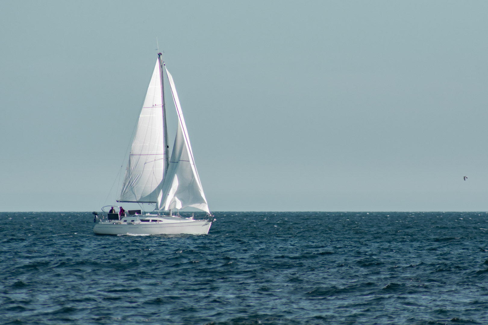 DSC_0639 (2)-2